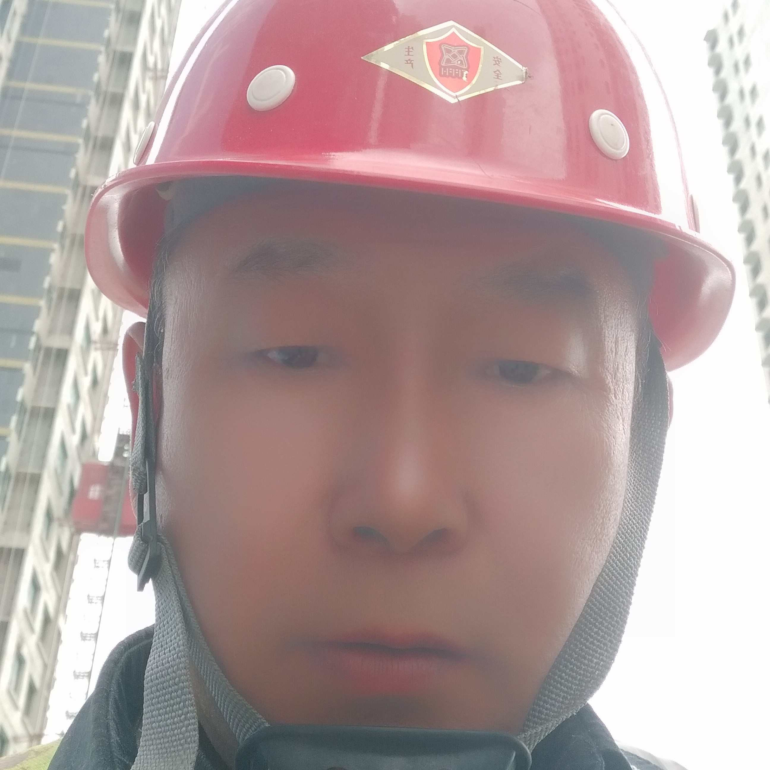 精明停止女王的照片