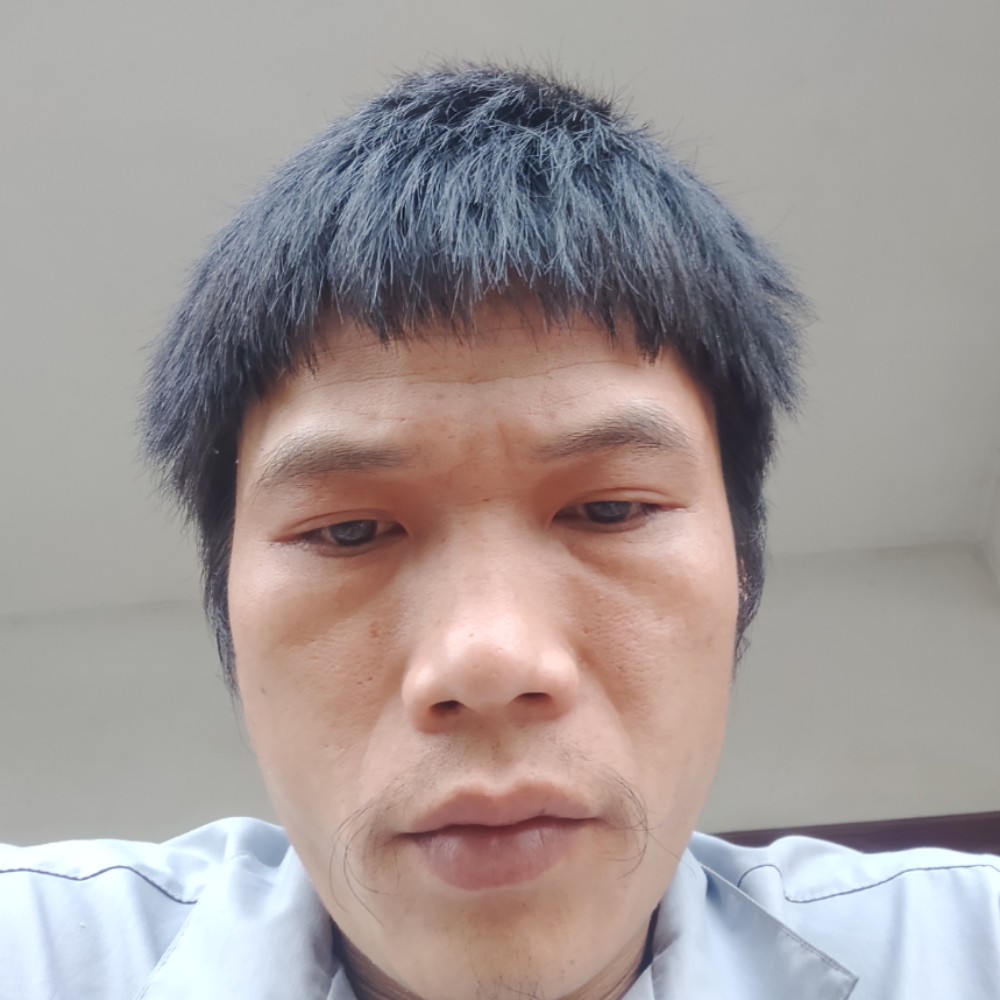 无可取代的回首土的照片