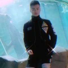 尔玛的照片