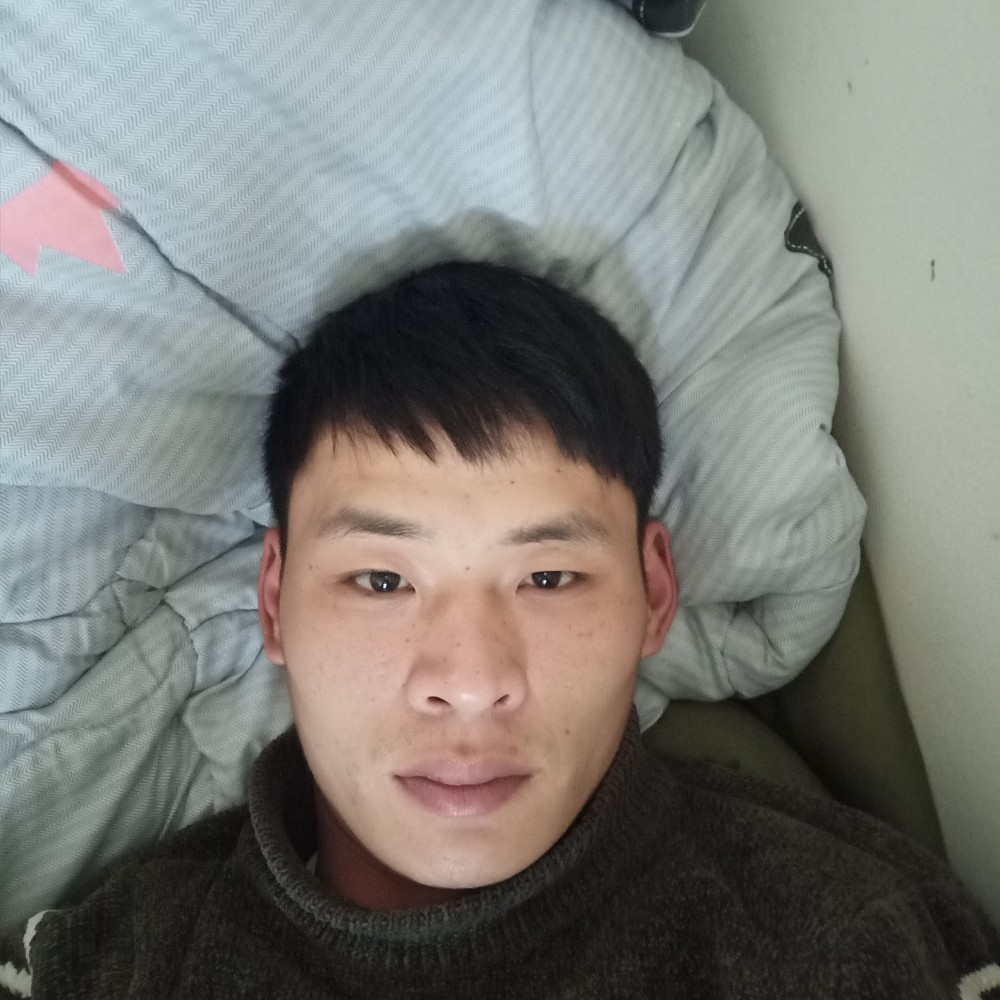 肥上的照片