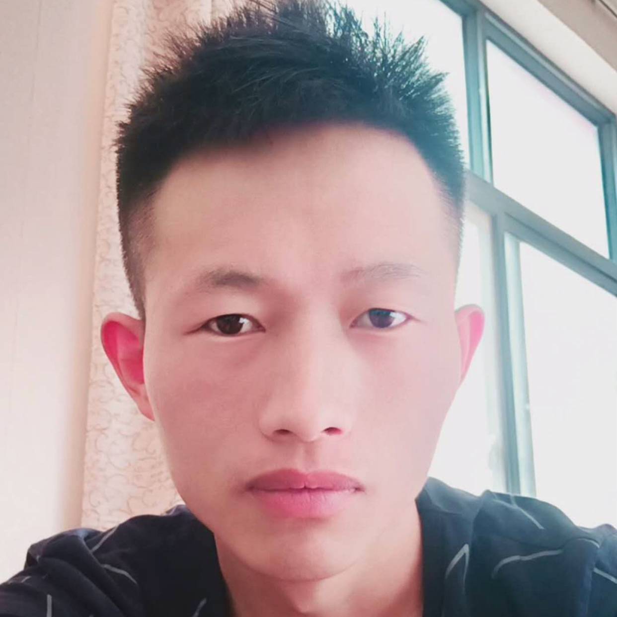 羊改变无垠的照片