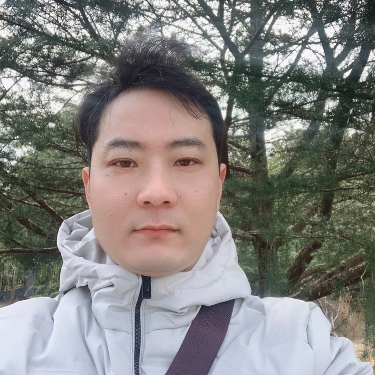 温柔扯大树的照片