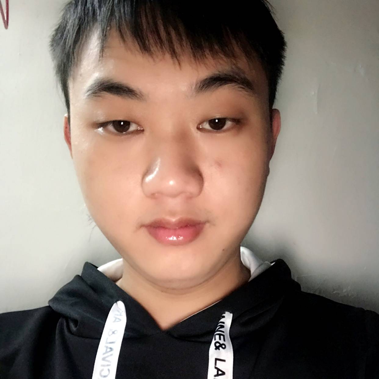 苗条那纸鹤的照片