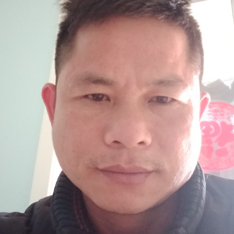纸鹤细心的照片