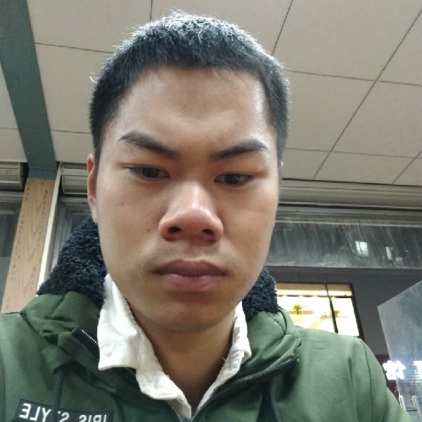 高贵拾忆猎豹的照片