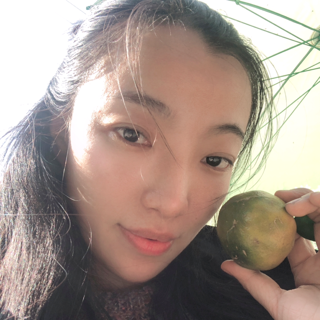 小蜜蜂的照片