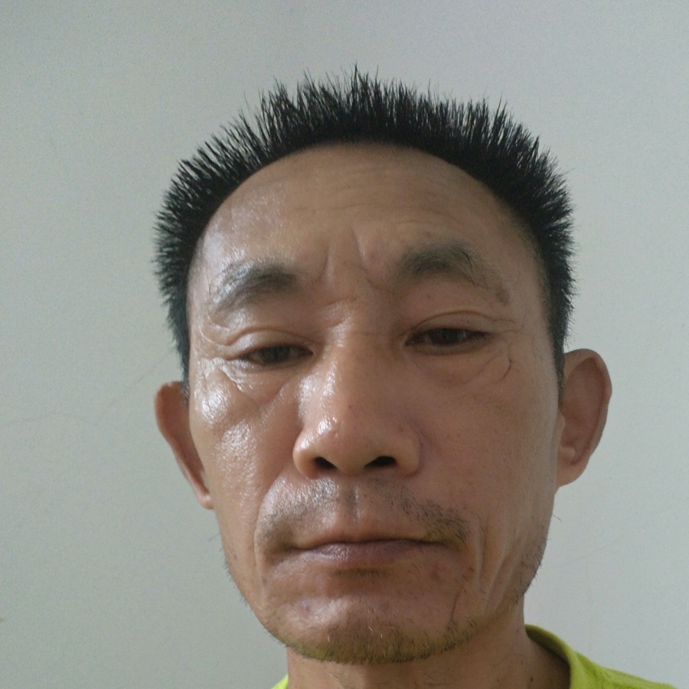 芝麻内向的照片