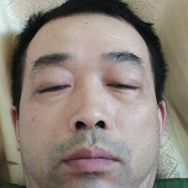大方拾忆鸵鸟的照片