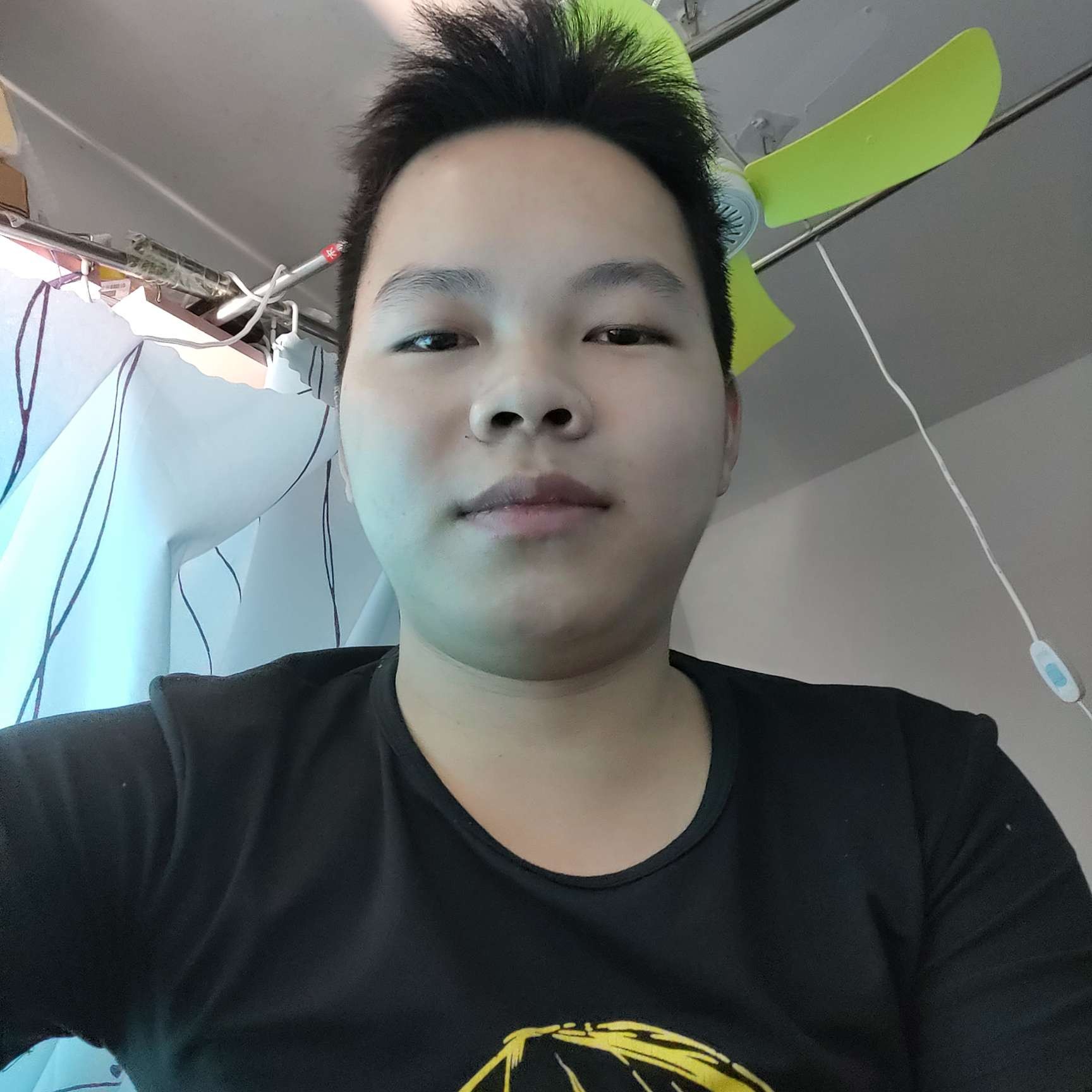迅速漫步思恋的照片