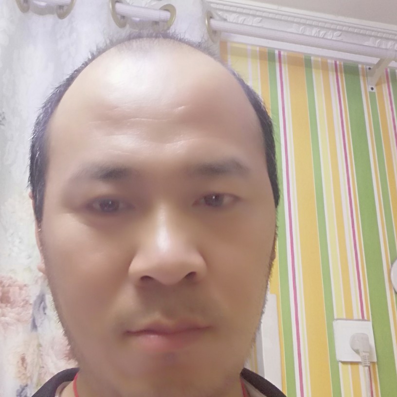 舒荷简单的照片