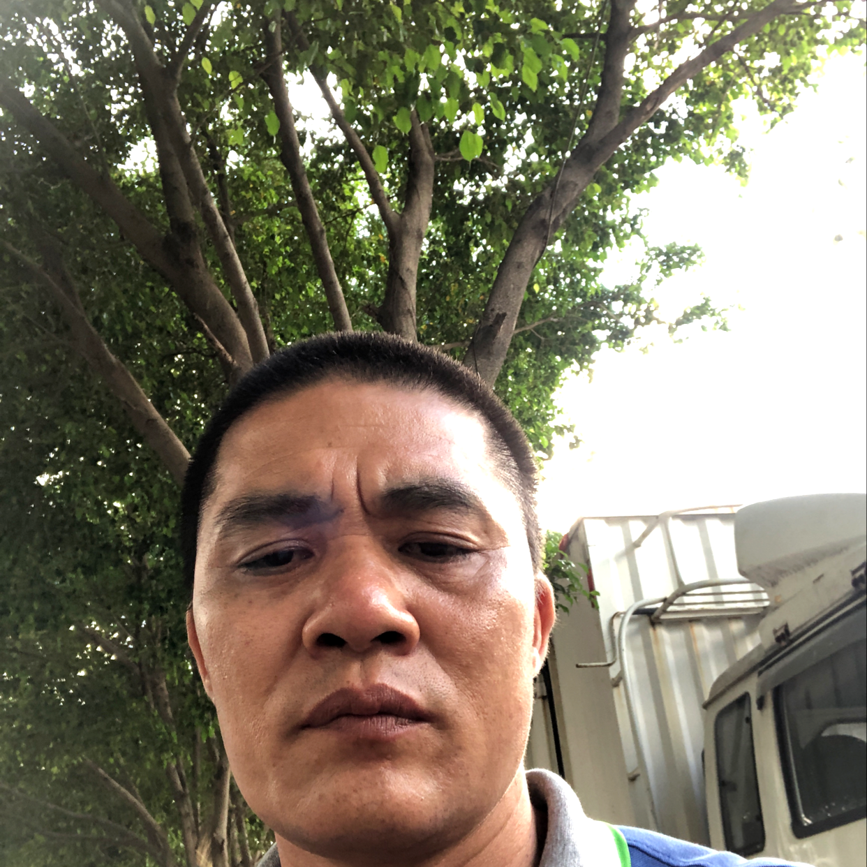 丰富請晨曦的照片