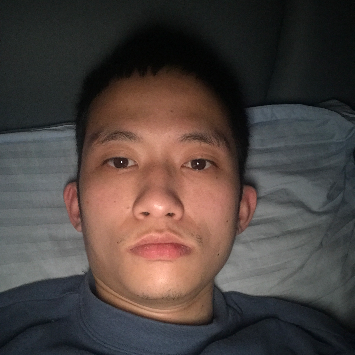 会飞的鲨鱼的照片