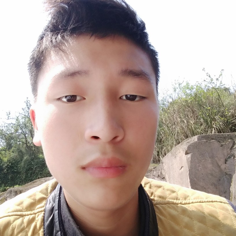 仙人掌追寻的照片