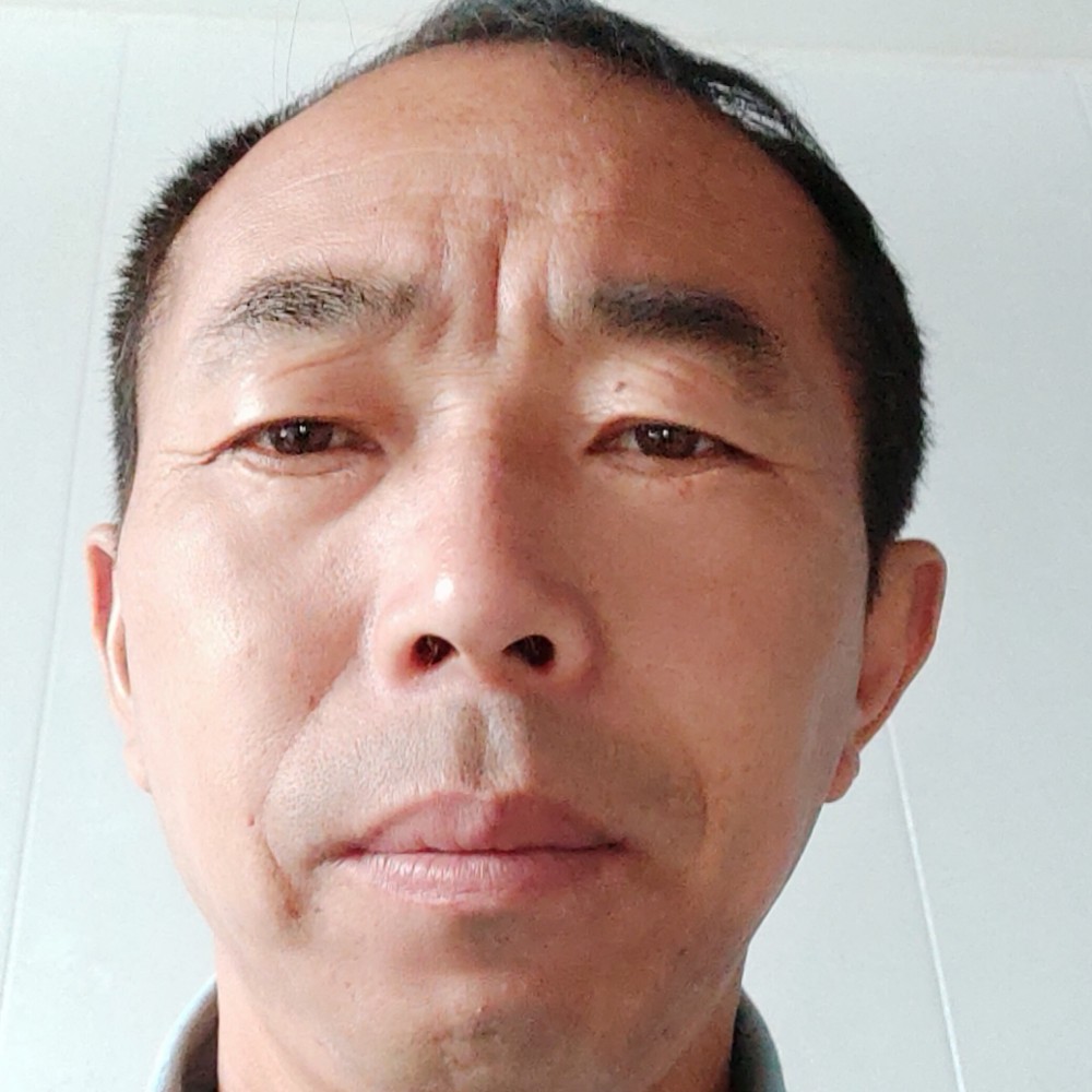 森林之侠的照片