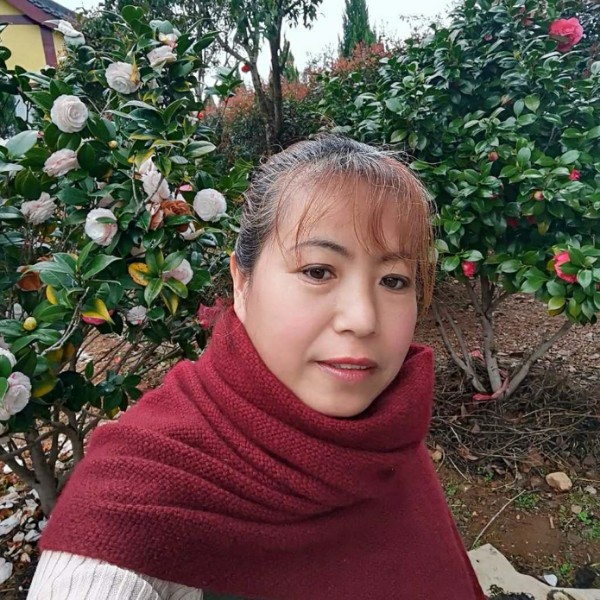 欣lxh红的照片