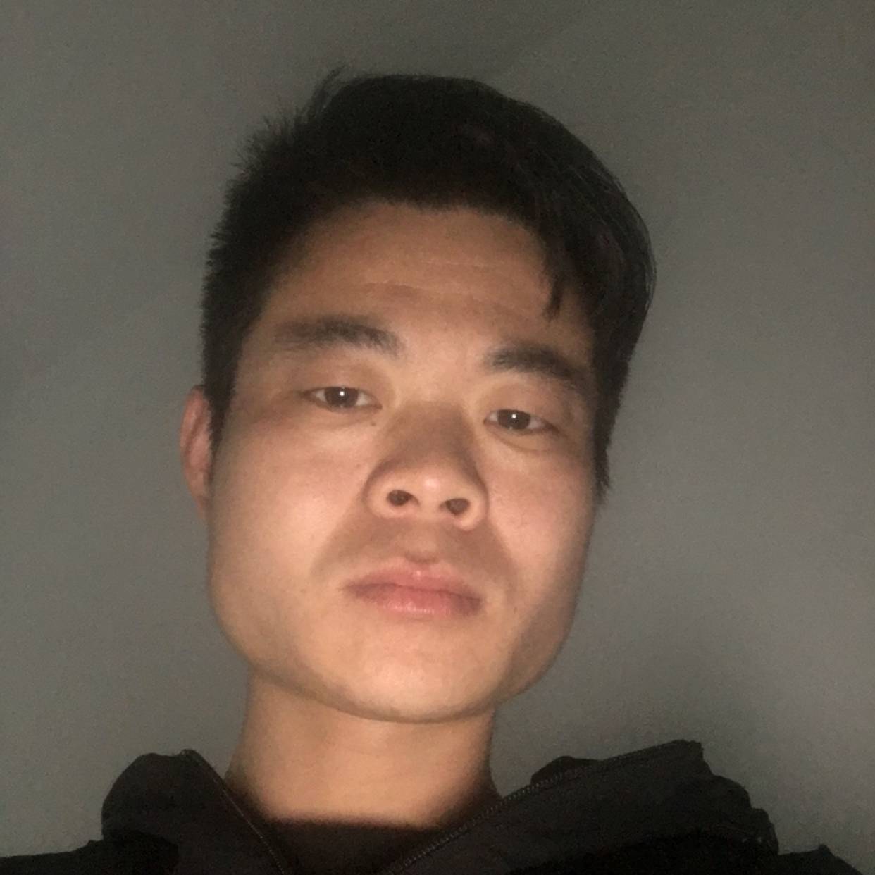 老虎现代的照片