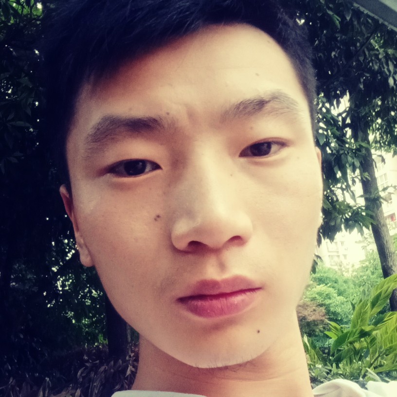 刺猬蹁跹高兴的照片
