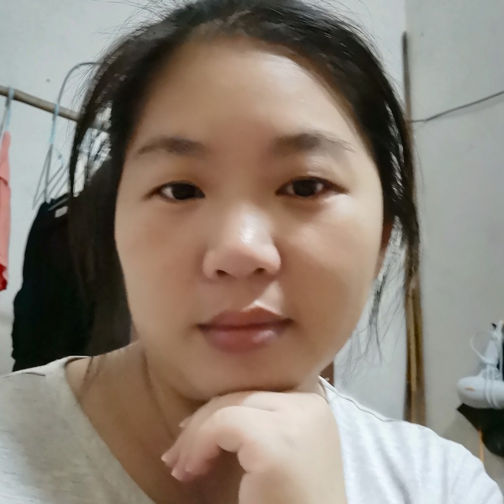 斑马漫步虚拟的照片