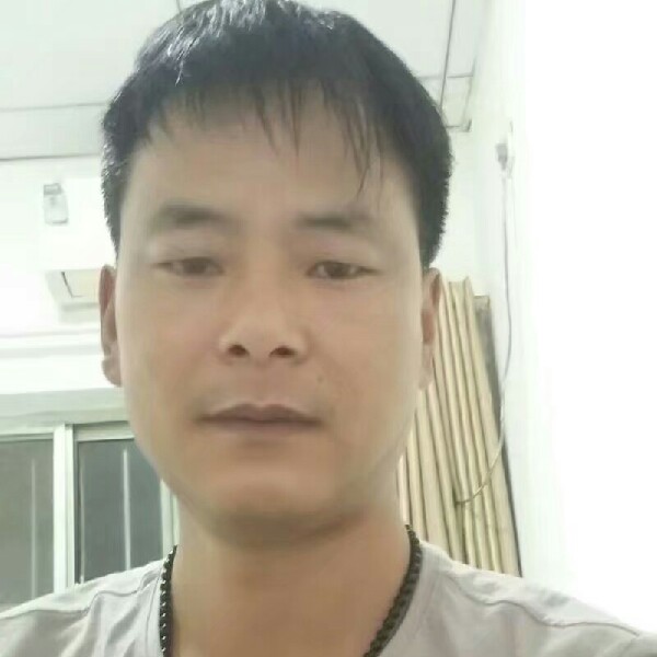 岩上草1的照片