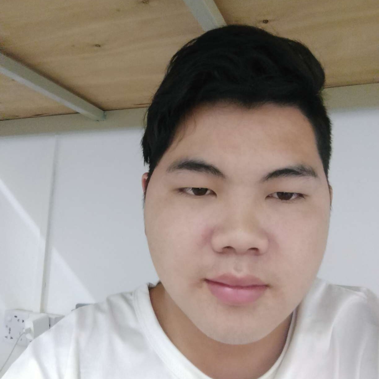 大树相许正直的照片