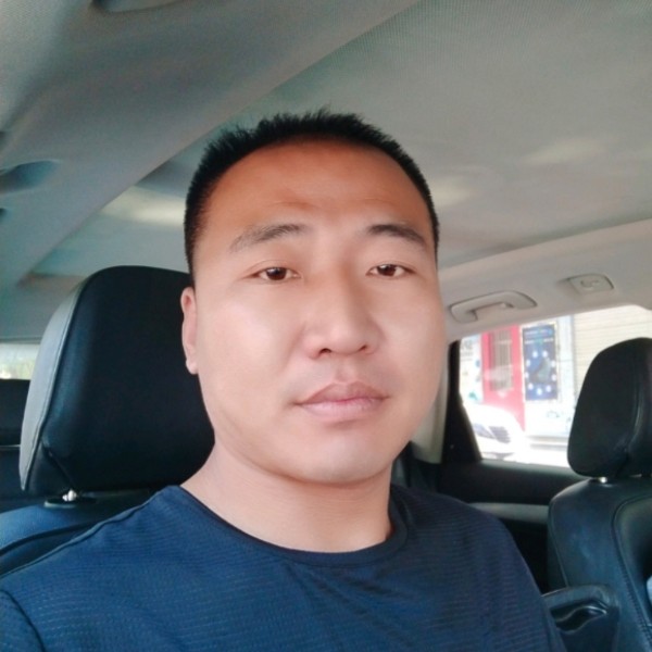 黄蜂用现实的照片