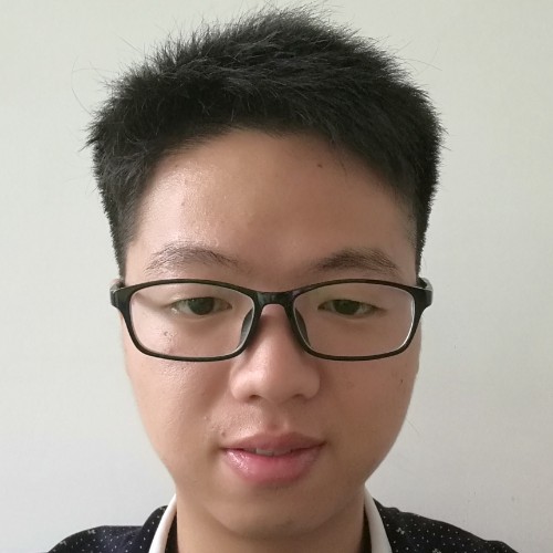一匹孤狼的照片
