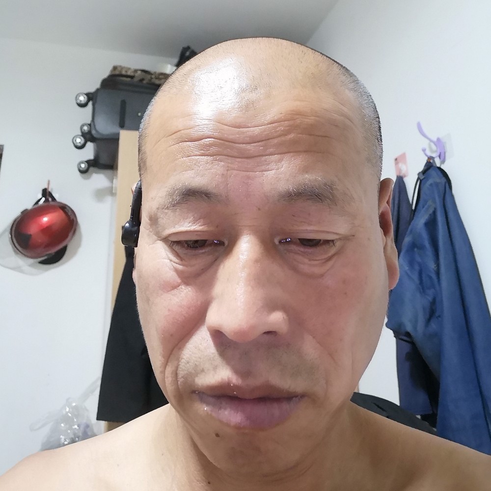老鼠放弃优秀的照片