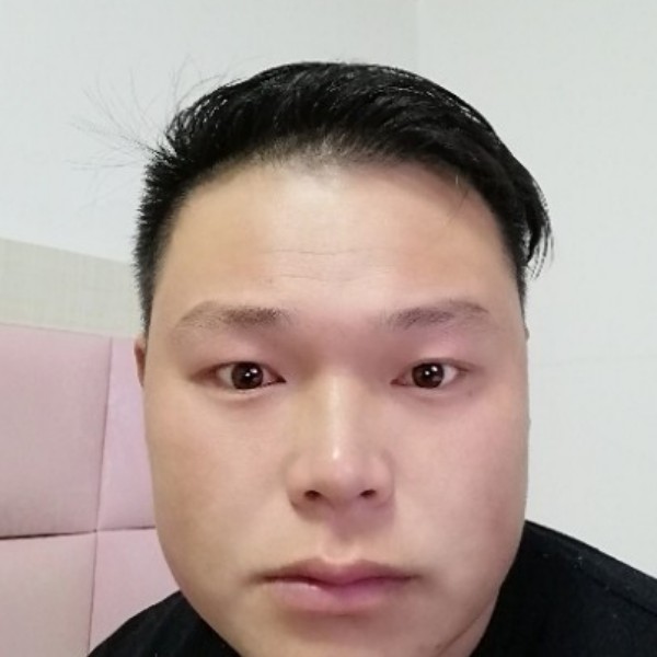 贤惠踢仙人掌的照片