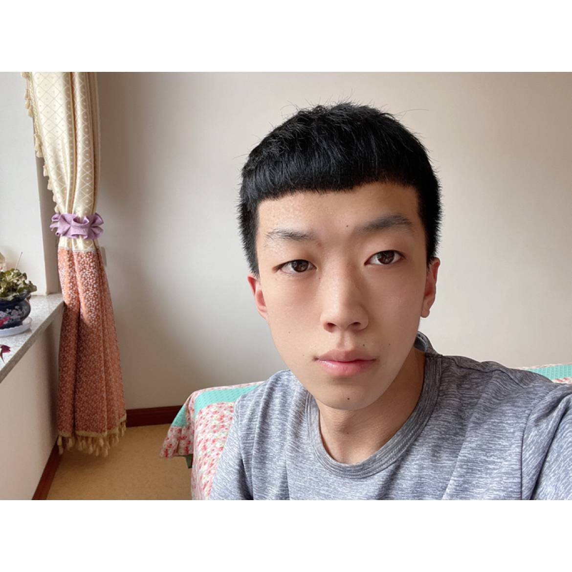 大力等待紫菜的照片