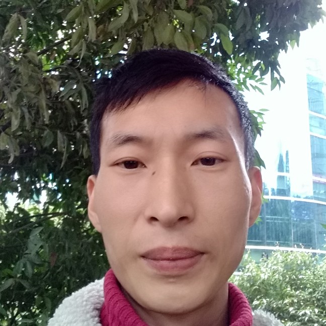 砂桃李子的照片