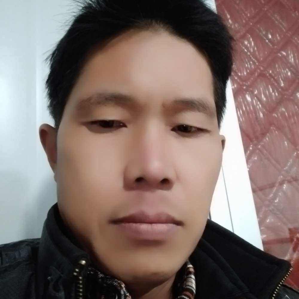 奇异果迅速的照片
