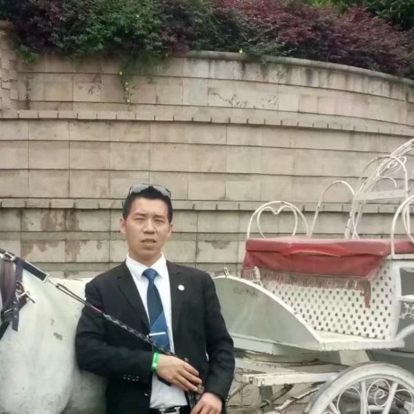 37的单身狗的照片