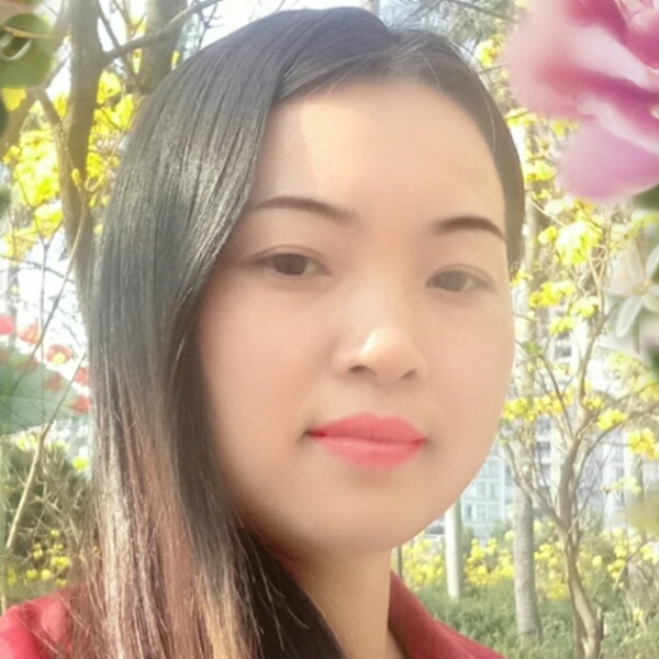 飞向梦想的照片
