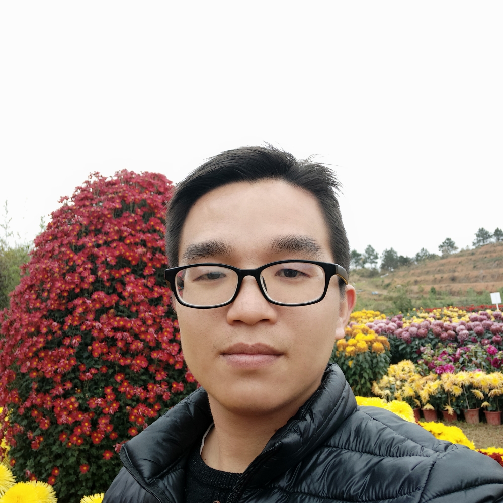 羽毛幽默的照片