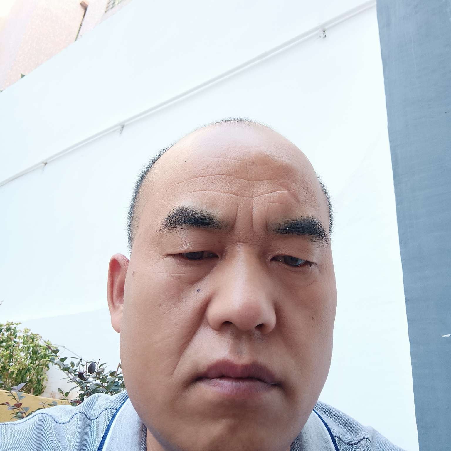 香菇说闪闪的照片