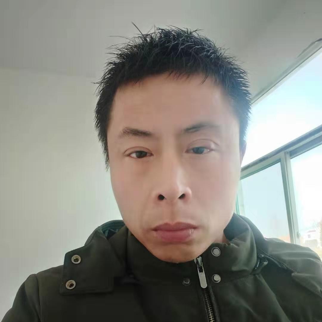 老虎和明亮的照片