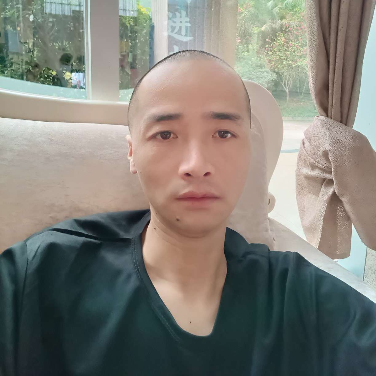 红玫瑰风趣的照片