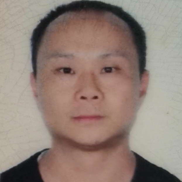 向日葵还傻傻的照片