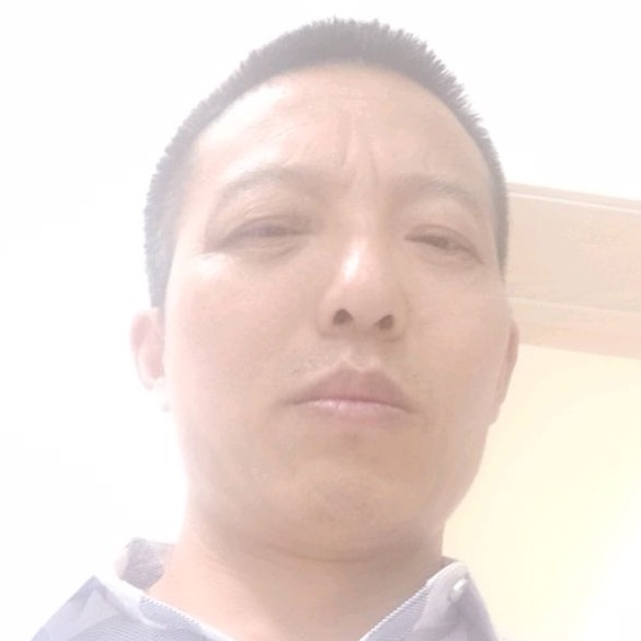 小海豚挽手耍酷的照片