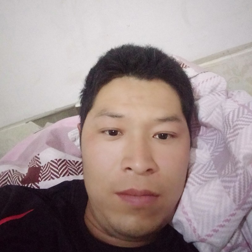 yf勇闯天涯的照片