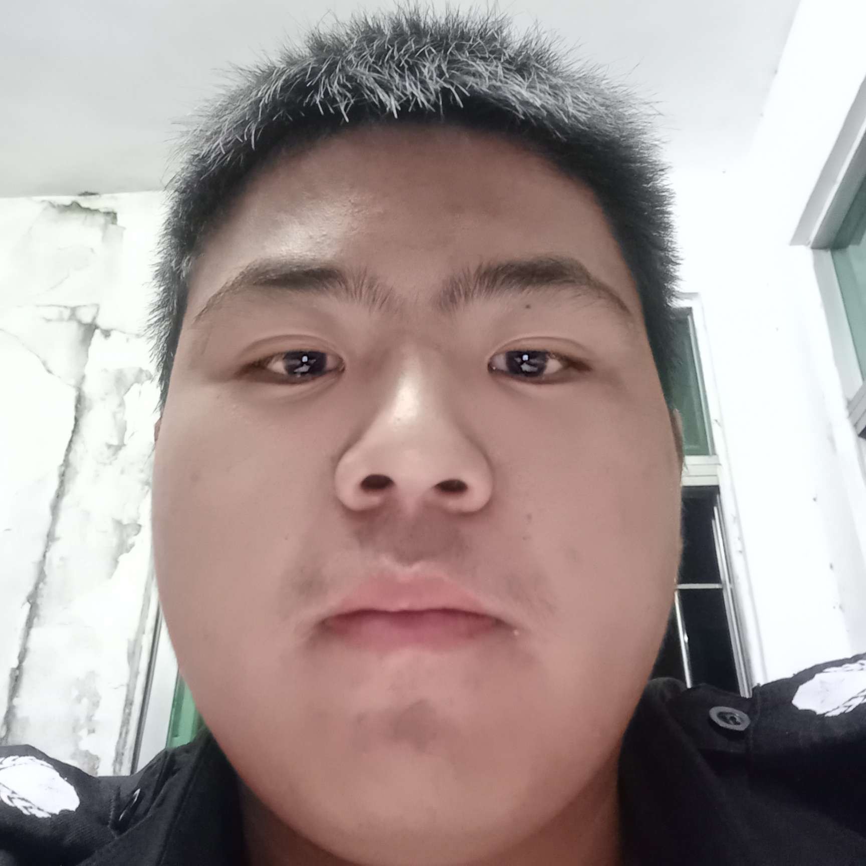 虎牙之王的照片