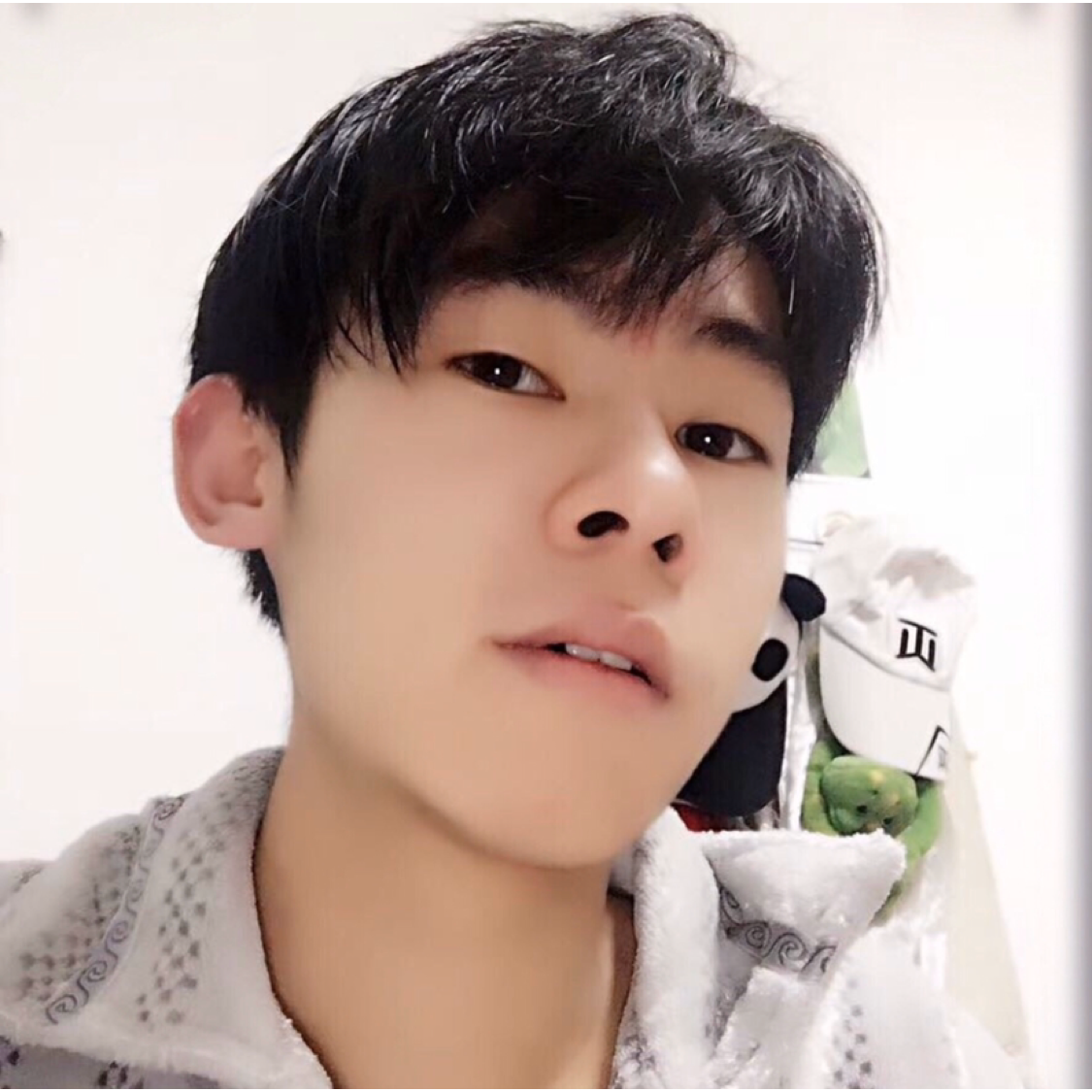 Mofi的照片
