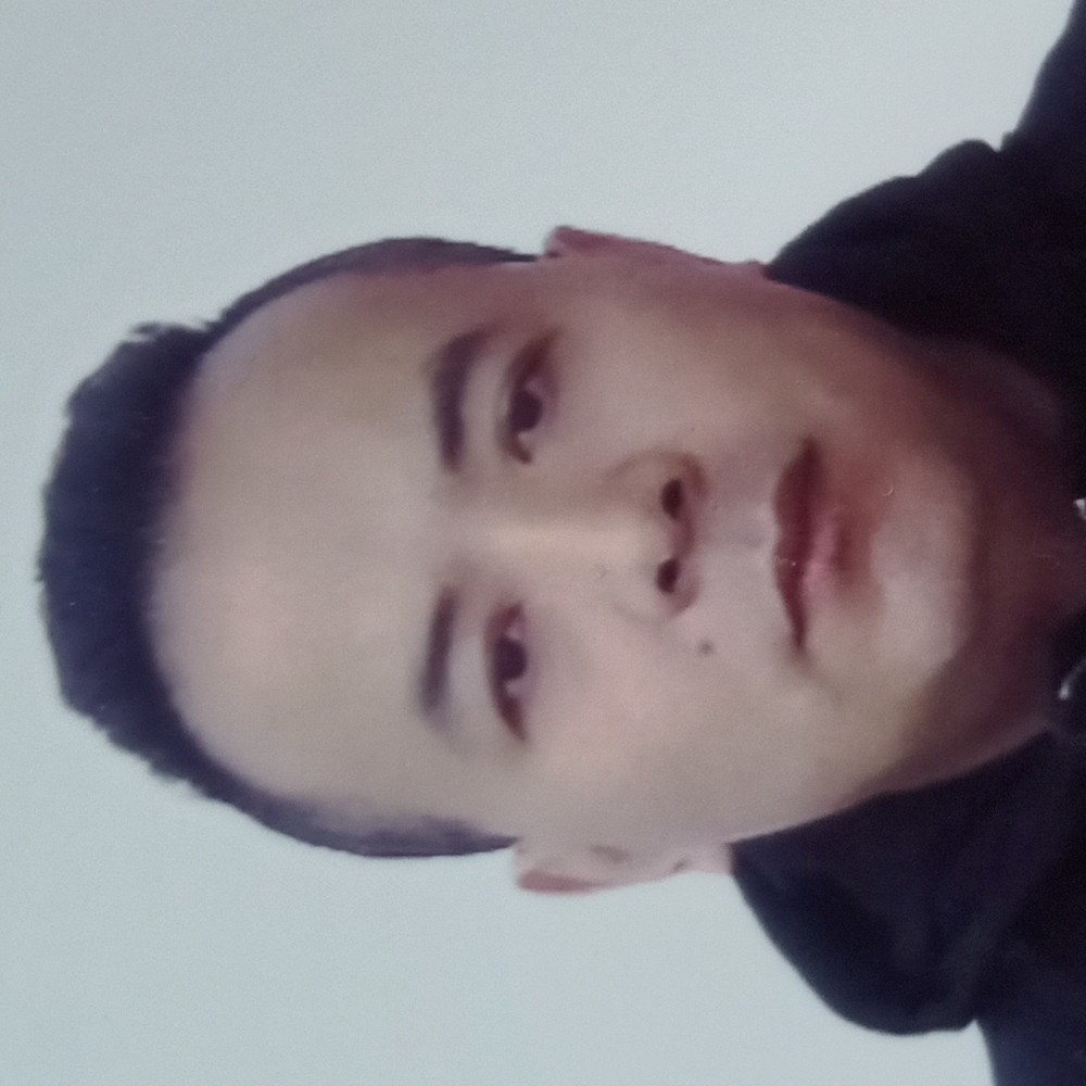 刺猬给幻灭的照片