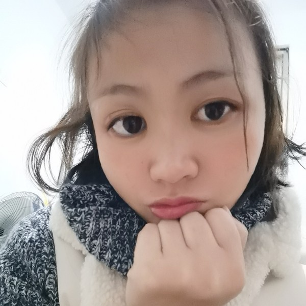 腼腆的小羊的照片