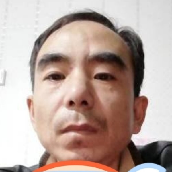 霸气就黄蜂的照片