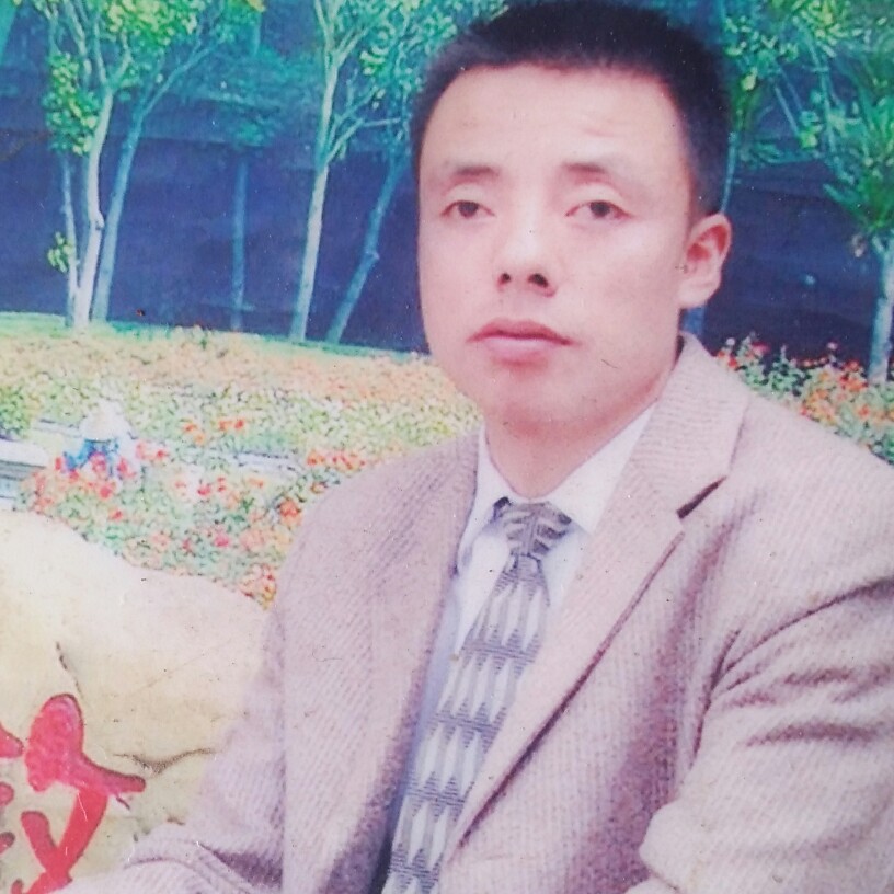 无私鸵鸟的照片