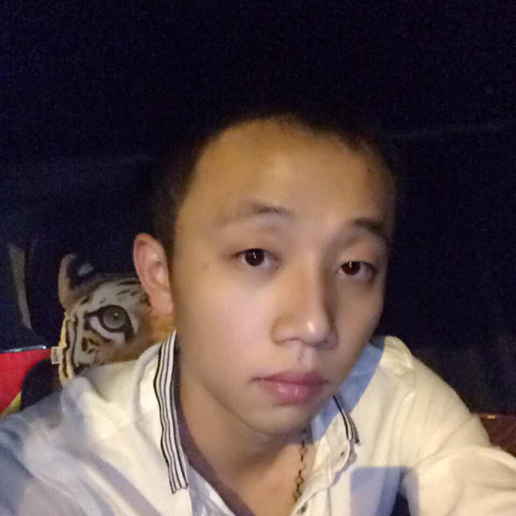风暴飞雪的照片