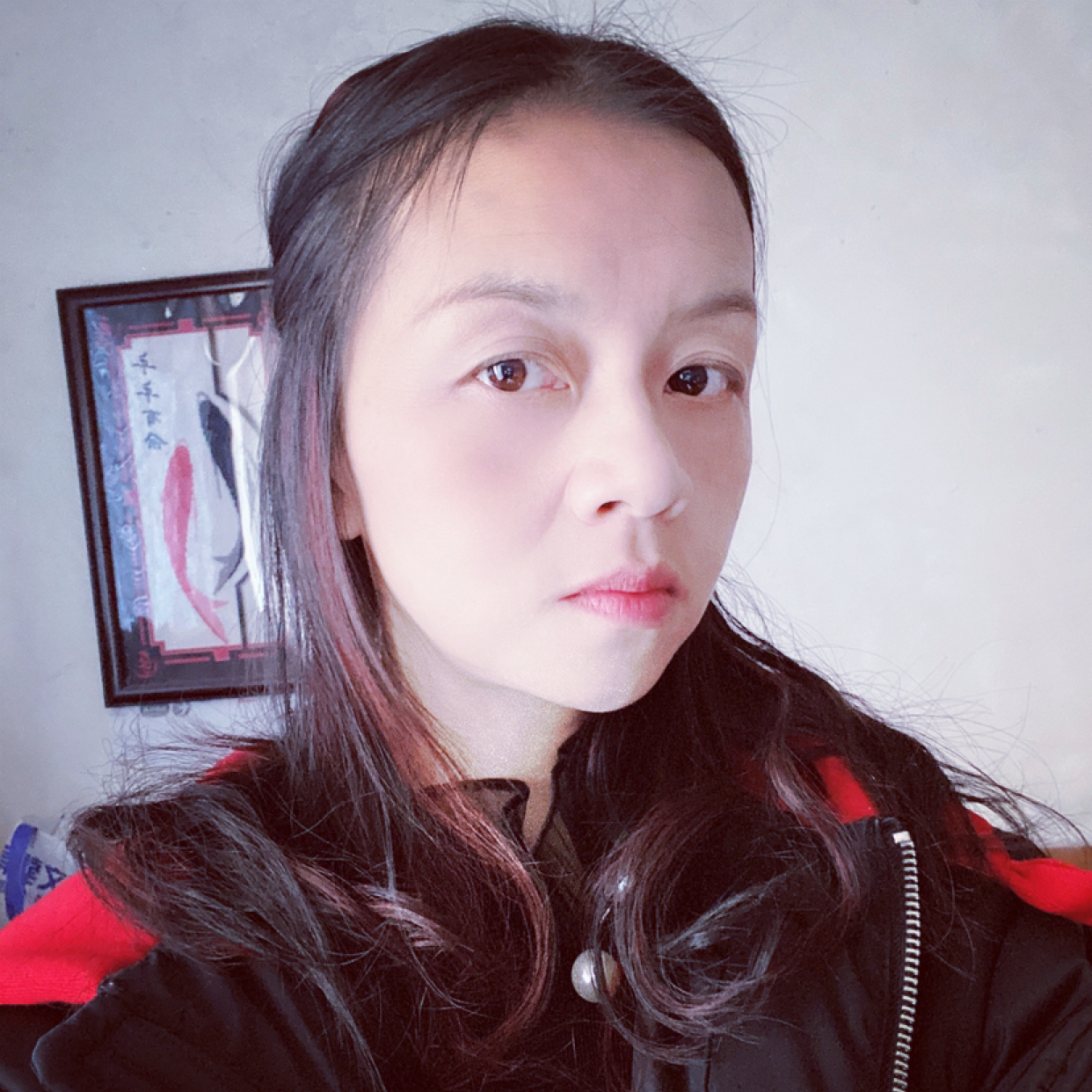 燕儿飞凤的照片