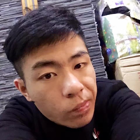 幽默米老鼠的照片