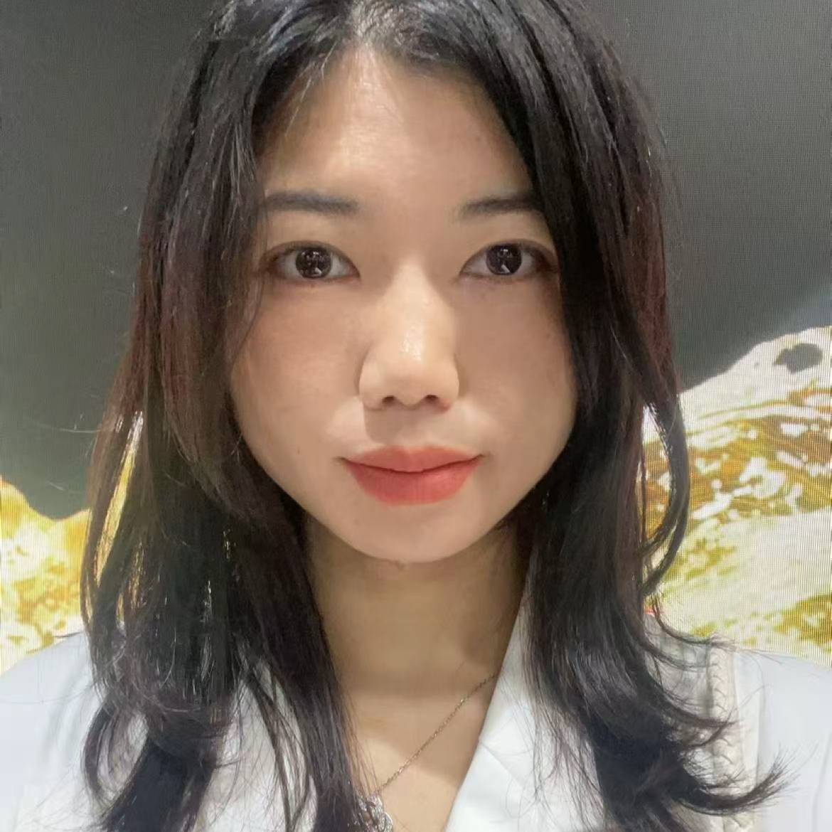 迷人de雨林照片